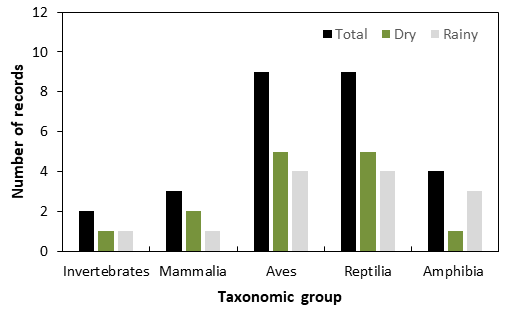 Figure 7: Number of records with evidence of feeding activities of the Roadside Hawk, that were obtained by citizen scientists in the Caatinga, Brazil. Prey were grouped in five taxonomic groups, and record numbers were shown for dry and rainy periods, and for the total sampling period. Records were gathered in the WikiAves database by TVG in February 2021.