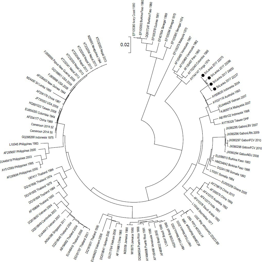 Figure 1: Phylogenetic analysis of DENV 2 reported in 2017 outbreak in Sri Lanka.