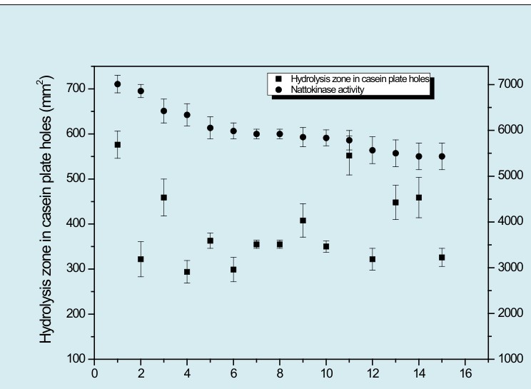 Figure 1: Hydrolysis zone in casein plate holes and nattokinase activity of 15 isolates.