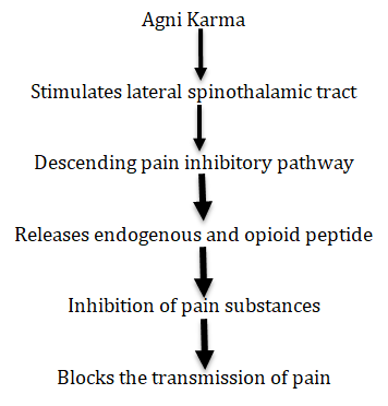 Figure 2: Flow chat of procedure that followed in case report.