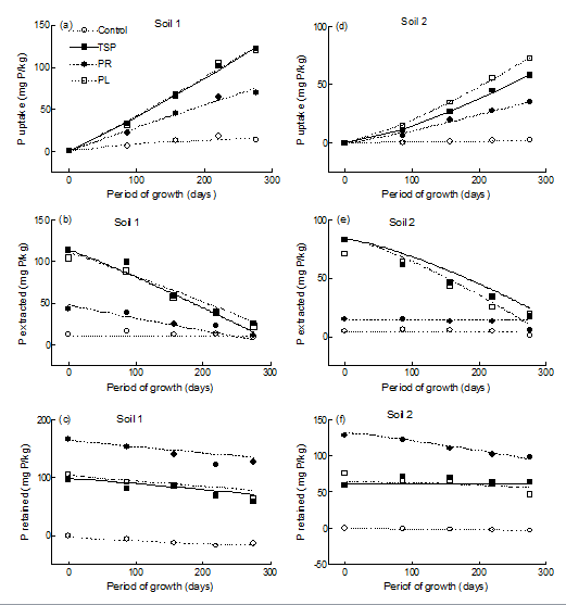 Figure 1: Fitting values obtained when Eq.(6) was used to describe changes with time in P uptake, P extracted and P retained along the period of growth in soil 1 and soil 2 after one level of P added from TSP, PR and PL sources. The lines drawn were obtained from fitting Eq.(6) from regression using all the observations rather than the points shown. Equation (6);