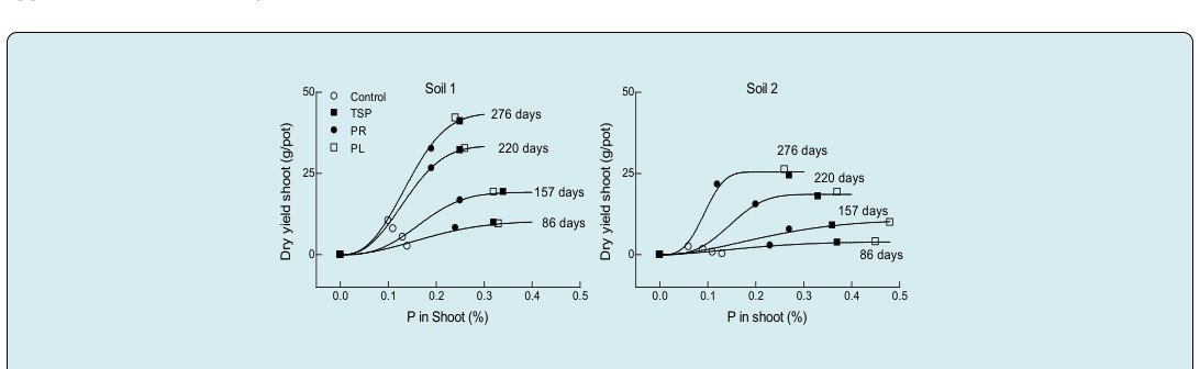 Figure 2: Fitting values obtained when Eq.(7) was used to describe changes with time in total dry yield of Lotus corniculatus growth in soil 1 and soil 2 after one level of P added from TSP, PR and PL sources. The lines drawn were obtained from fitting Eq.(7) from regression using all the observations rather than the points shown.