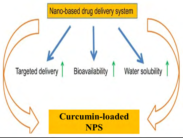 Figure 2: Effects of Cur-loaded NPs on U2OS cells [4]. Under a Creative Commons Attribution (CC-BY) License.