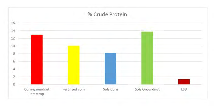 Figure 6: Effect of intercropping on the crude protein content of forage.
