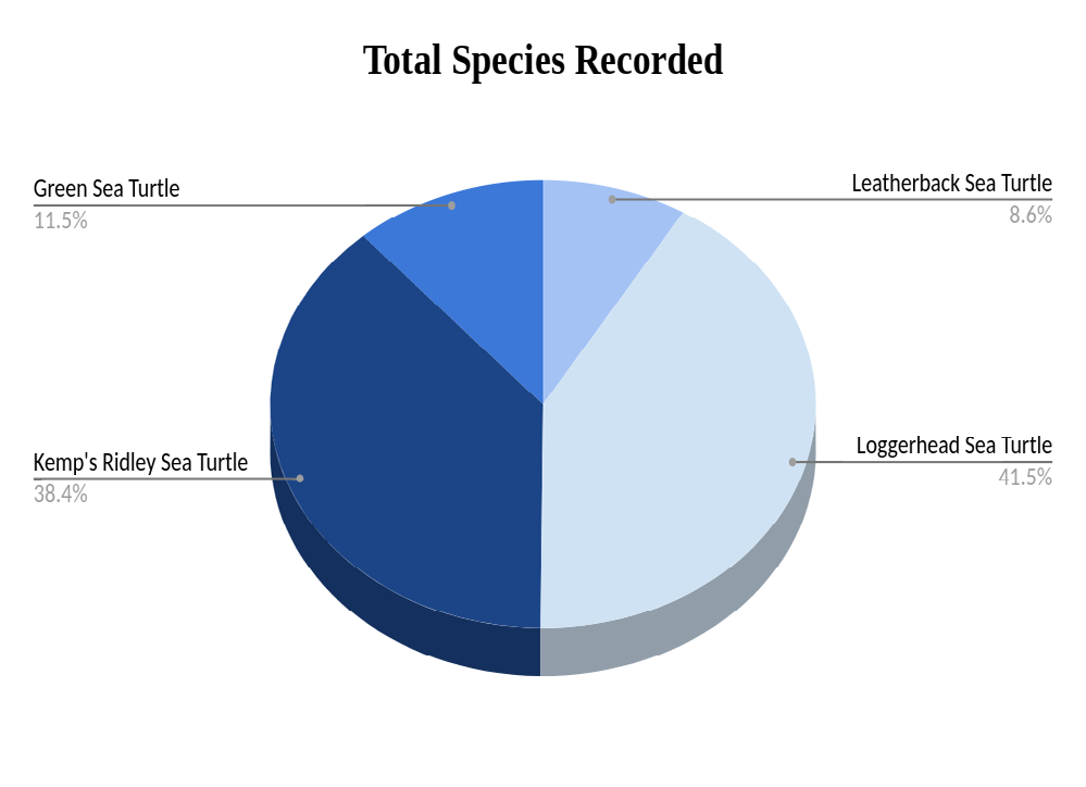 Figure 1: A breakdown of the percentage of total species reported stranded. Species consists of _D. coriacea, C._ _caretta_, _L. kempii_, and _C. mydas_; which the chart refers to using their common names, Leatherback, Loggerhead, Kemp’s Ridley, and Green sea turtle respectively.