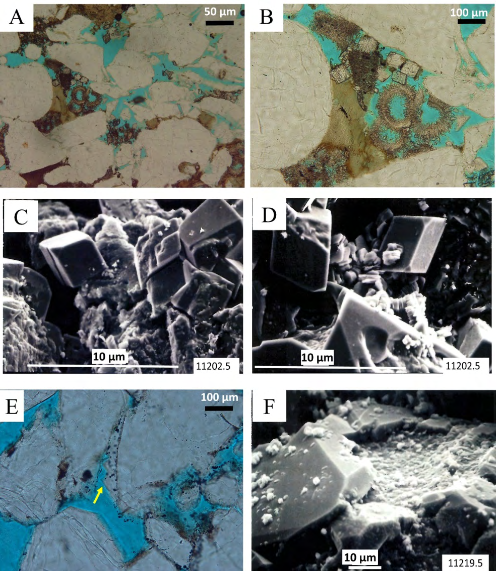 Figure 10: (A) and (B) Quartz arenite with primary intergranular and secondary intragranular porosity. Note the idiotopic form of the rhombic dolomite crystals at the late diagenetic stage. Glauconitization has partially occurred to reduce the porosity and reservoir quality (PPL). (C) SEM photomicrograph of the idiotopic dolomite rhombic crystals filling the primary pores and collapses the permeability at the late stage of diagenesis. (D) SEM photomicrograph of the idiotopic dolomite rhombic crystals with vermicular kaolinite precipitation that reduces the porosity and reservoir quality. (E) Intergranular porosity has been reduced by the syntaxial silica overgrowth (yellow arrow) with clay film around the quartz grains (PPL). (F) SEM of quartz overgrowth cementation in the sandstone.