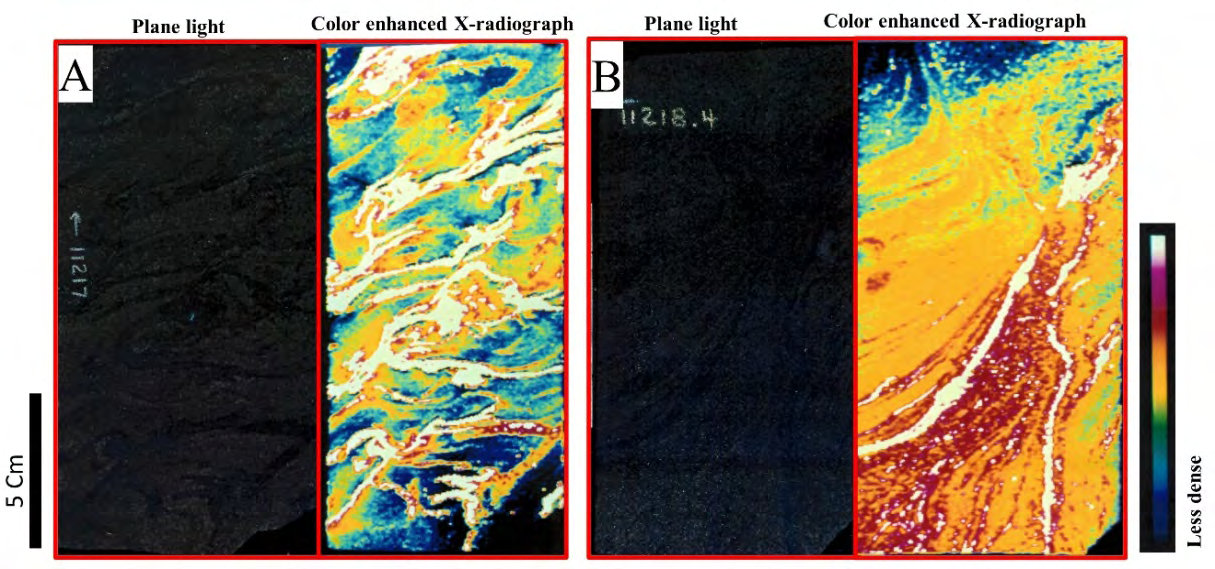 Figure 8: (A) Convolute lamination in sandstone at 11217 shown on the left is a plane light photograph of the sandstone core slab. Shown on the right is a color-enhanced X-radiograph image with a relative density scale imposed. The colors correspond to zones of high (white) and low (blue) X-ray absorption. Laminations are convolute and distorted due to rapid deposition and water escape that occurred 1.4 feet below. (B) Water escape structure in sandstone at 11218.4 shown on the left is a plane light photograph of the sandstone core slab. A large dewatering feature is apparent and becomes clearer in the color- enhanced X-radiograph image on the right. A relative density color scale is imposed showing high density (pink to white) where secondary cementation has occurred in the water escaped zone and lower density where overlying lamination has been punctured and turned upward.