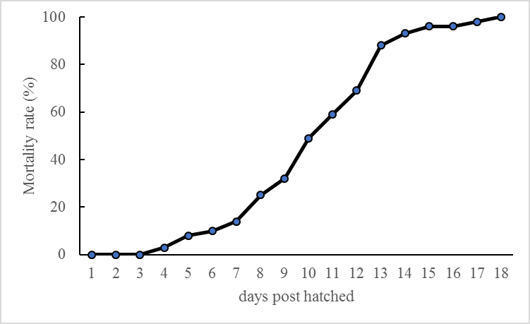 Figure 1: The mortality rate of larva without feeding.