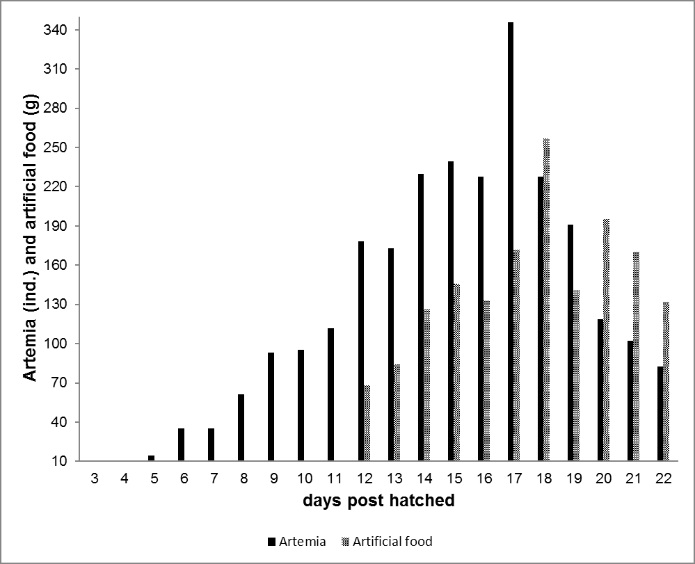Figure 2: Number of Artemia (individual) and artificial feed (gram) consumed every day.