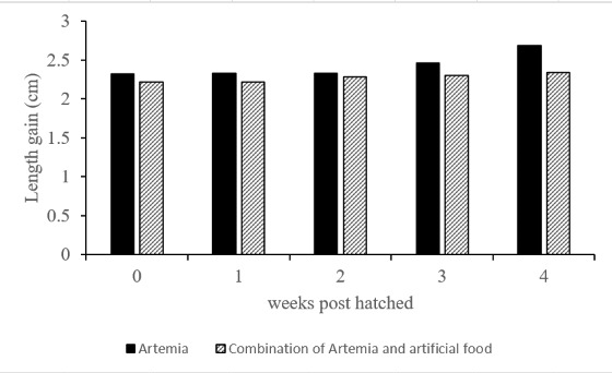 Figure 5: Length gain of the larvae fed by Artemia and a combination between Artemia and artificial food.