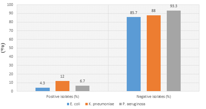 Figure 2: Occurrence of Carbapenamase Produsing Isolates among clinical isolates collected from murtala muhammad specialist hosipital.