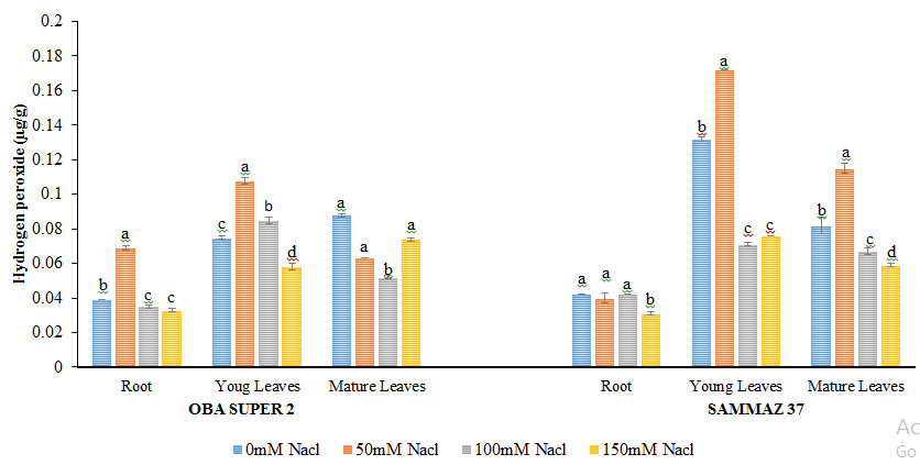 Figure 1: Hydrogen Peroxide levels (µg/g) of two varieties of maize exposed to the same level of different concentrations of NaCl for 21 days. Values are expressed as mean ± SEM of three replicates. Significant difference between the means was determined using Duncan’s test at (p < 0.05), mean in the column followed by the same letter (s) are not significantly difference at 5% level.