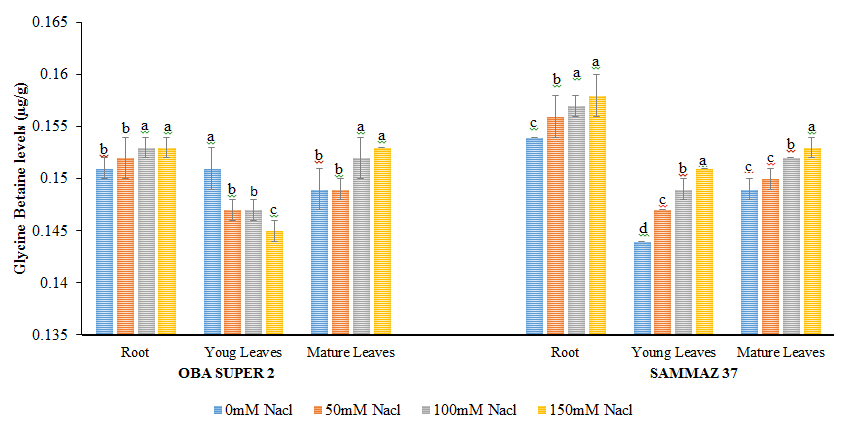 Figure 3: Glycine Betaine levels (µg/g) of two varieties of maize exposed to the same level of different concentrations of NaCl for 21 days. Values are expressed as mean ± SEM of three replicates. Significant difference between the means was determined using Duncan’s test at (p < 0.05), mean in the column followed by the same letter (s) are not significantly difference at 5% level.