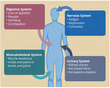 Figure 1: Systems affected due to Hypercalcaemia.