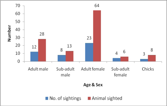 Figure 1: Number of peafowls sighted with sighting frequency.