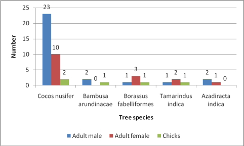 Figure 3: Roosting tree used by different age & sex classes of peafowl.