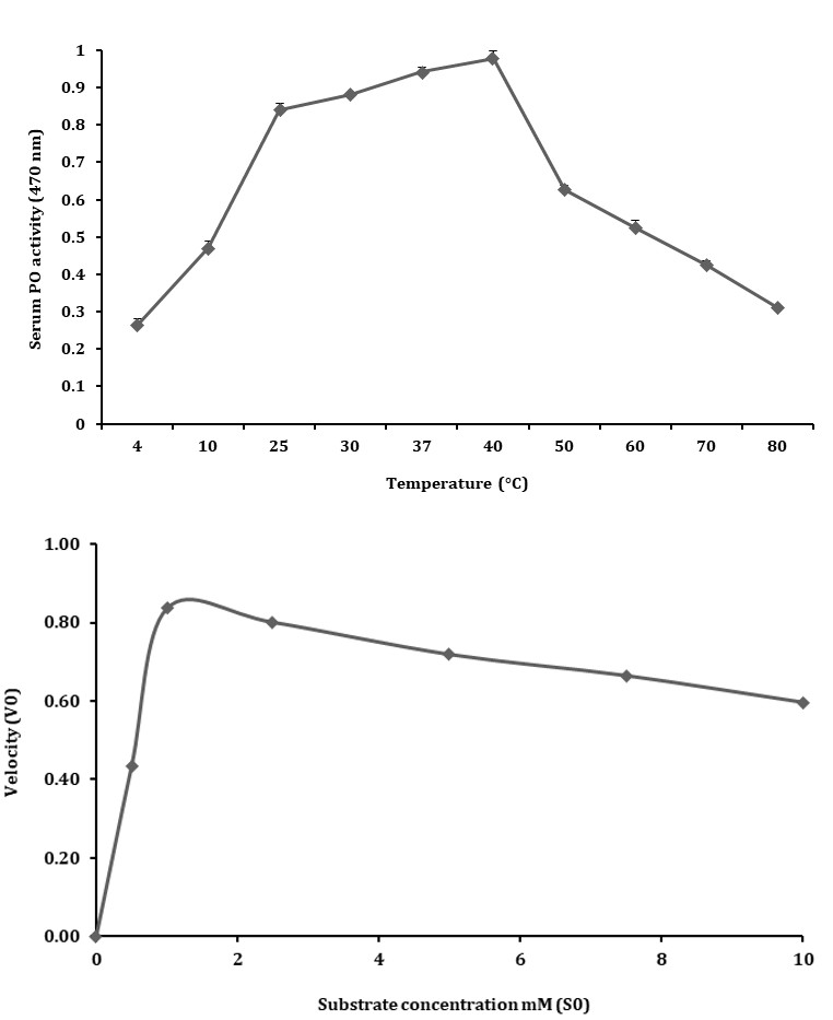 Figure 6: In summary, the optimal conditions for measuring serum PO activity on 1 mM L-DOPA were 10 mM Tris-HCl, pH 7.5 at 40 °C for 10 min at 470 nm.