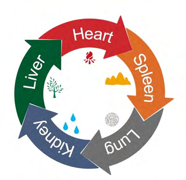 Figure 8: Generation Cycle.