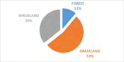 Figure 5: Animal-group activity and vegetation type.