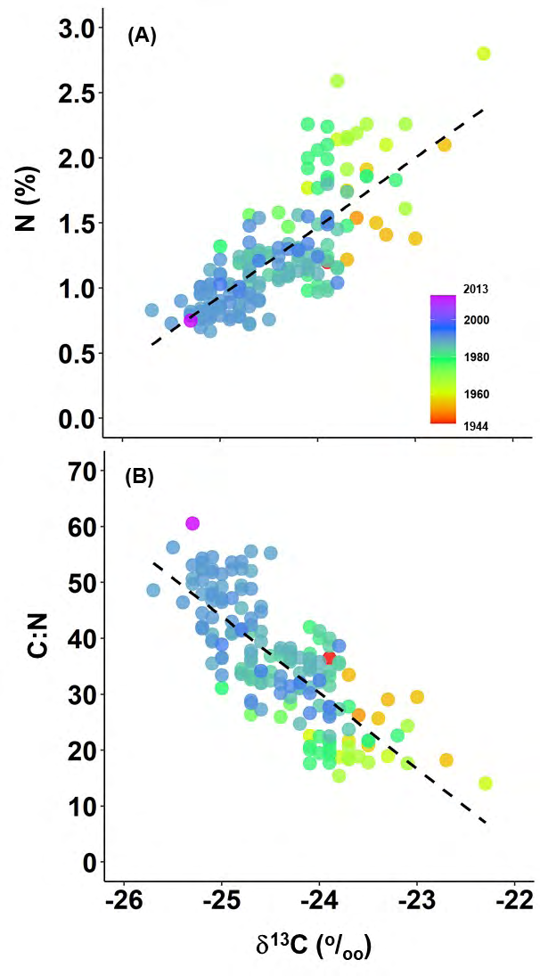 Figure 3: Bi-plots of: (A) δ13C vs. %N and (B) δ13C vs. C:N ratio of Brazilian banknotes. The color legend refers to the year the currency was issued [28].