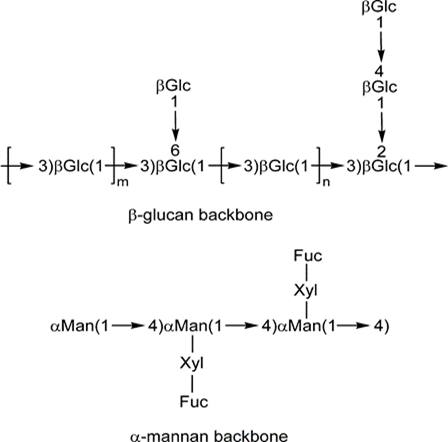 Figure 1: Structure of Reishei polysaccharide.