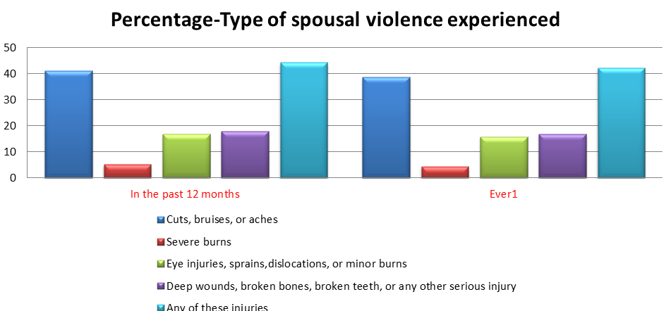 Figure 5: Injuries to Women due to Spousal Violence. Other Analyses