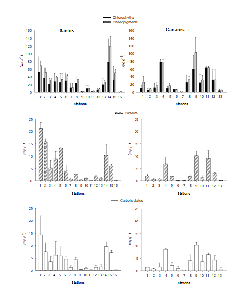 Figure 4: Photosynthetic pigments, proteins and carbohydrates concentrations in sediments from Santos and Cananeia.