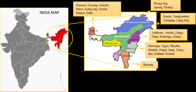 Figure 1: Map of India showing its north-eastern states and their respective fermented foods.