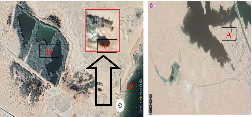 Figure 1: Fourteen water samples were collected in duplicates, from Lake Nasser and near locations affected by sewage station outfall as described below Table 1. Samples collection was processed according to Standard Methods for Examination of Water and Wastewater [9]. All collected samples were stored in an iced cooler box and delivered for analysis.