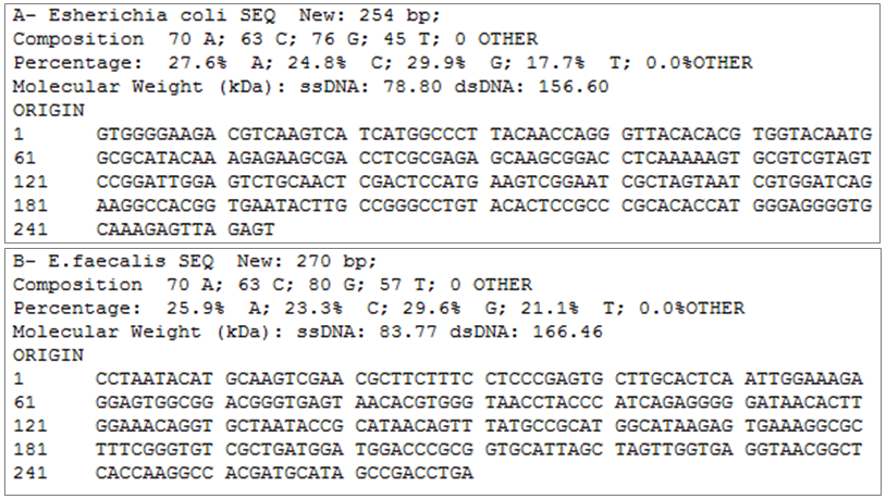 Figure 3: Newly detected and identified E. coli and E. faecalis strains in collected water samples.