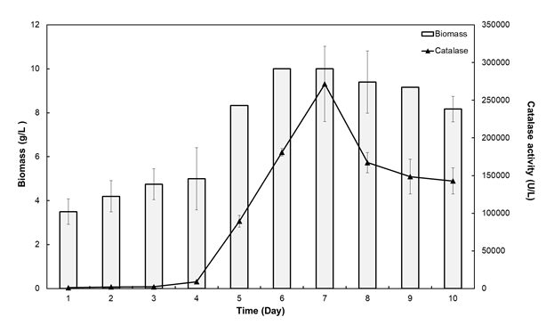 Figure 1: Accordingly, the lag phase occurred in the first two days, and then the logarithmic phase started and continued until the sixth day. A. fumigatus entered the stationary phase on the 6th day. Catalase production was the highest on 7th day at which A. fumigatus was still in the stationary phase. This indicates that enzyme production is the result of secondary metabolic activity.