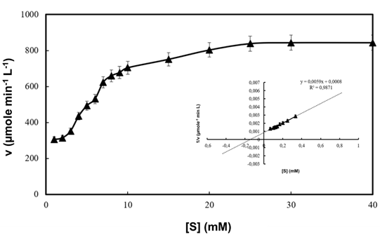 Figure 6: According to the graph, the Km and Vmax values were determined as 7.4 mM and 1250 μmole min-1 L-1, respectively. The Km value of A. fumigatus catalase was lower than Archaeoglobus fulgidus catalase (8.6 mM), N. crassa catalase (21.7 mM), B. subtilis 168 catalase (39 mM), and Serratia marcescens SYBC08 catalase (78 mM), but higher than Septoria tritici catalase (3.4 mM) and Klebsiella pneumoniae (6.5 mM) catalase [35- 39].