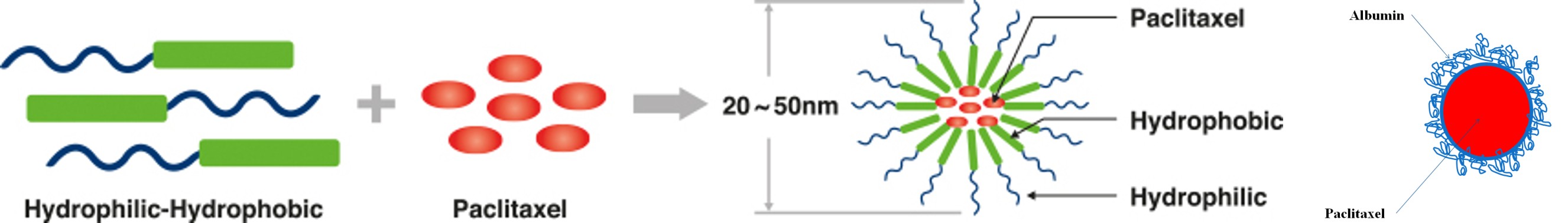 Figure 5: Further, Opaxio [paclitaxel poliglumex] is an important polymer nano-drug which has been arrived to the preclinical stage of research [60].