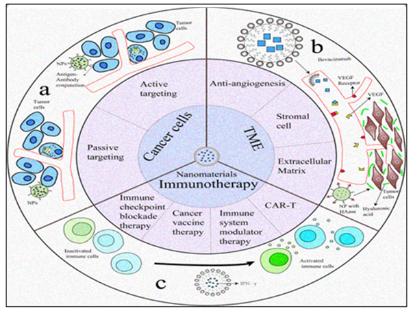 Figure 7: Various approaches for cancer treatment based on nanomaterials. A. Cancer cells B. TME C. Cancer Immunotherapy.
