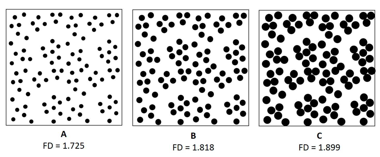 Figure 4: Models of granule cell layer cytoarchitecture of cerebellar cortex. Different cell size: A – small, B – medium, C – large. Cell number and cell distribution are the same in all three models.