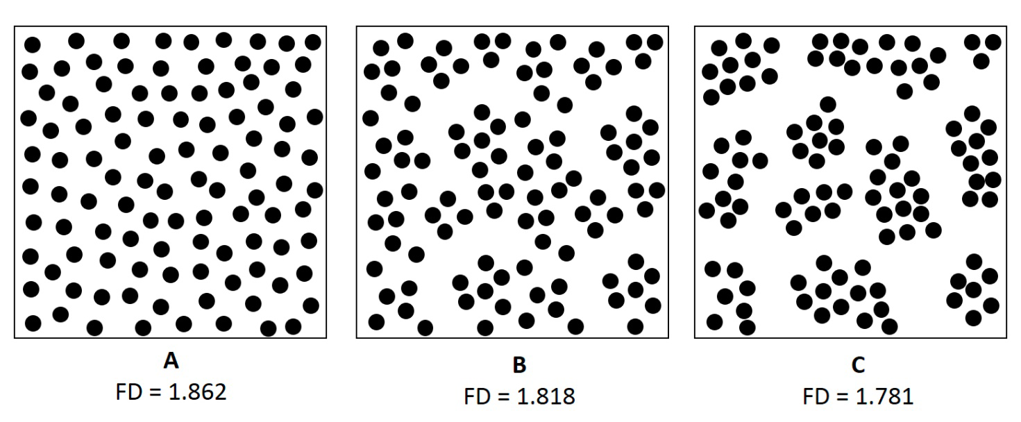 Figure 6: Models of granule cell layer cytoarchitecture of cerebellar cortex. Different pattern of cell arrangement: A – cells are distributed evenly without clusterization, B – cell distribution with moderate clusterization, C – cell distribution with well recognizable cell clusterization. Cell number and size are the same in all three models.