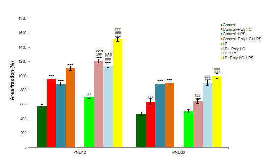 Figure 4: The histogram represents the quantitative data of S100β labeling at PND 12 and 30.