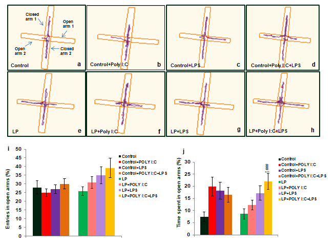 Figure 9: Data from EPM test done at PND 30 shows disruption of normal rat behavior following single and multi-hit exposure.