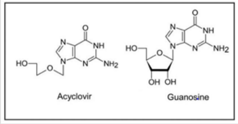 Figure 1: Acyclovir and Guanosine structures.