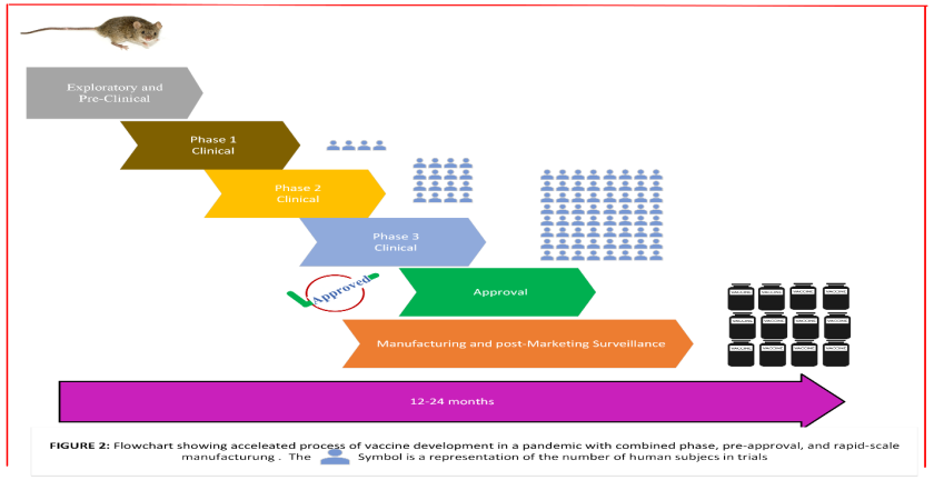 Figure 2: Development of vaccine on urgent basis.