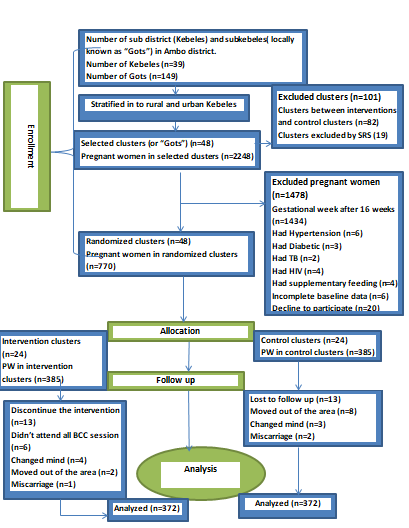 Figure 1: This diagram depicts the flow of study participants through the trial according to the criteria recommended in the CONSORT guideline.