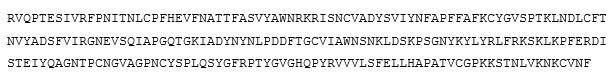 Figure 2: The RBD sequence of COVID-19 XBB 1.5 subvariant.