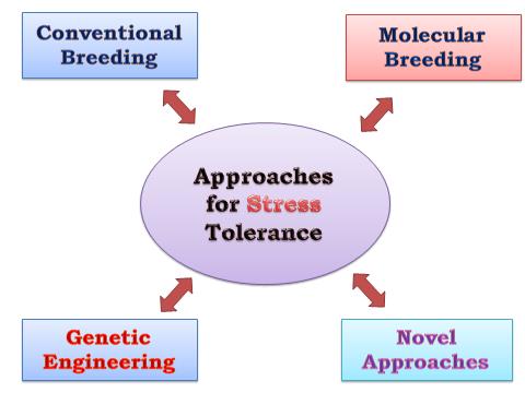 Figure 1: Techniques employed for developing stress tolerant plants. Apart from recombinant DNA approaches, nanotechnological interventions have also shown promising results in the recent past. As of now nanotechnology is relatively nascent, but nevertheless it has shown strong potential in solving the problem of abiotic stresses. Nanotechnological interventions are currently being explored and tested in selected plant species, and there are also concerns about the environmental safety aspects of this technology. However, any new technology is like a double edged sword and we have to fine tune the technology to reap maximum benefit from it. Specifically in agriculture, technical innovation is essentially required to solve the global challenges such as Cell & Cellular Life Sciences Journal
