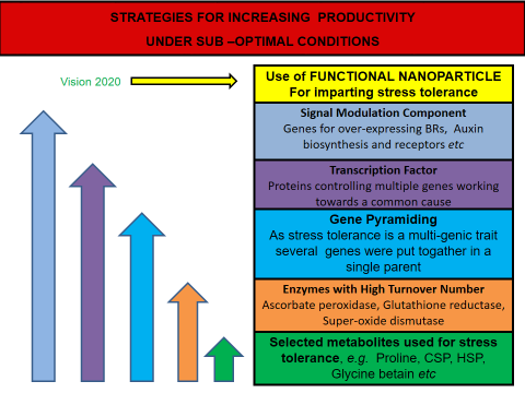 Figure 2: Molecular approaches for development of stress tolerant crop plants.