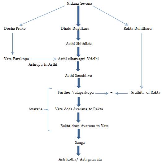 Figure 1: Flow chart of the Nidana sevana.