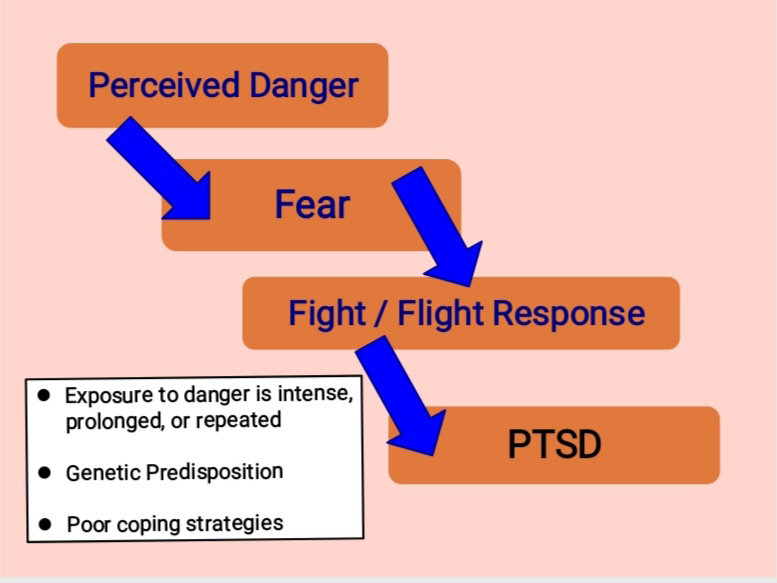 Figure 1: Pathophysiology of Post-Traumatic Stress Disorder.