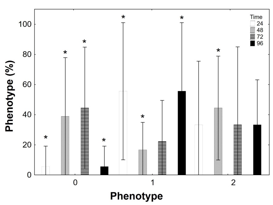 Figure 7: Three-way ANOVA graph showing interaction between phenotypes (0, 1, 2) and times, 24h, 48h, 72h and 96h. Phenotype 1 corresponding to hypermethylated is significantly larger at 24h and 96h times. Asterisk indicates statistical significance (p<0.05).