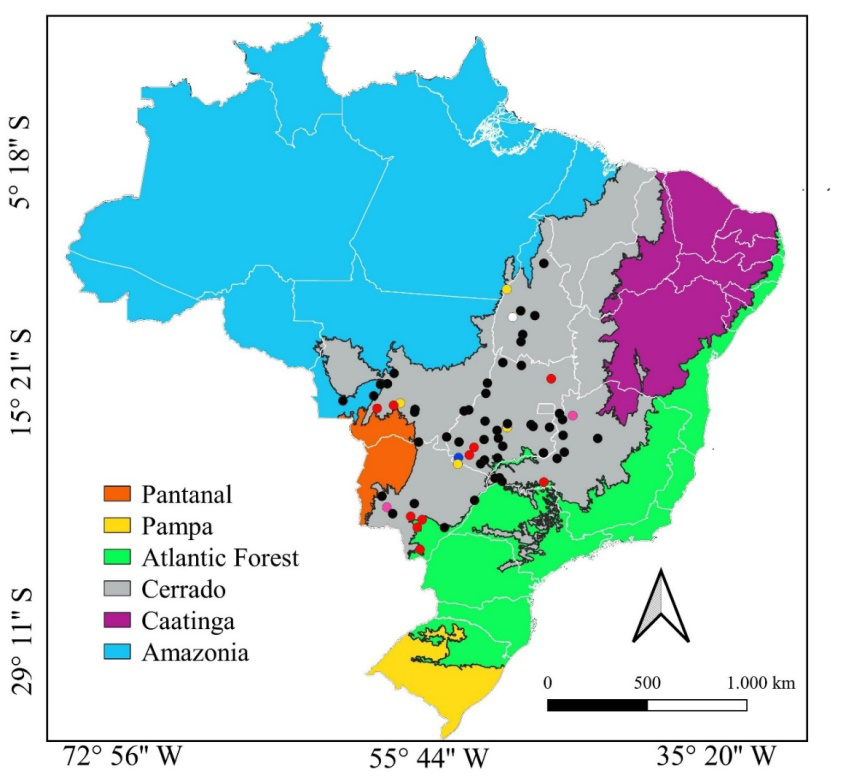 Figure 2: Geographic distribution of 104 breeding records of the Greater Rhea (Rhea americana) in 66 municipalities in the Brazilian Cerrado. Records were obtained by citizen scientists between 2009 and 2021, and gathered in the WikiAves database in September 2021. Municipalities had variable numbers of records: 1 (black circles), 2 (red circles), 3 (yellow circles), 4 (white circles), 6 (blue circles) and 7 (pink circles).