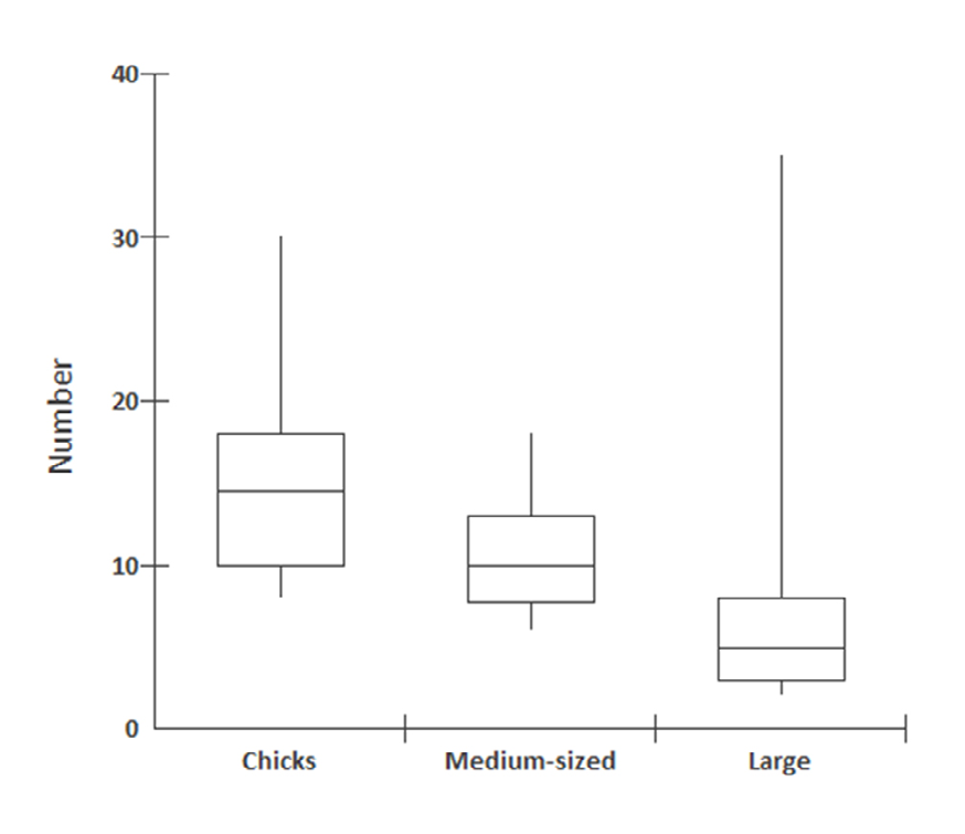Figure 5: Box plots, with medians and quartiles, of the number of young (brood size) found in Greater Rhea families recorded by citizen scientists in the Brazilian Cerrado. Records were gathered in the WikiAves database in September 2021.