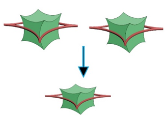 Figure 11: Gravitational interaction of two numbers of equal magnitude masses ‘A’ and ‘B’, n = integer.